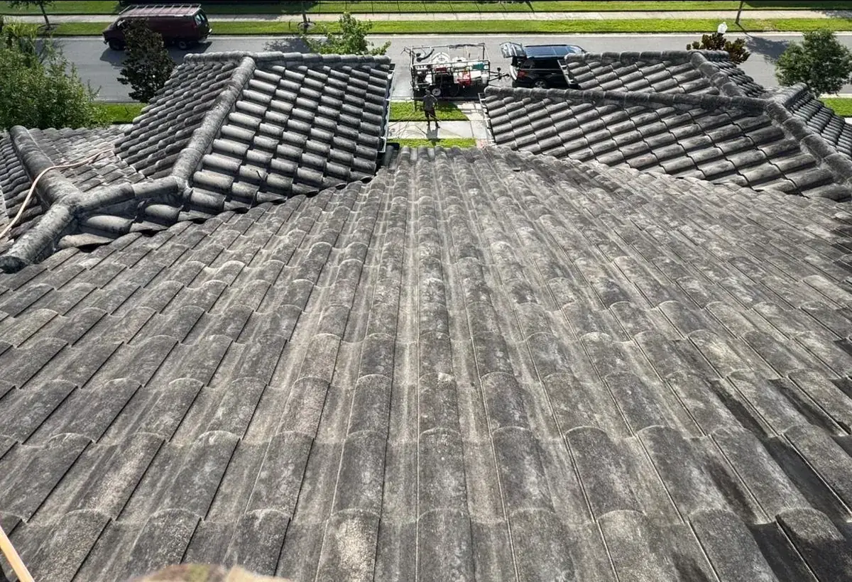 Tile roof in Oviedo FL covered in black algae streaks before soft washing